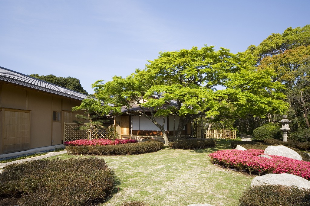 平尾緑地　松風園