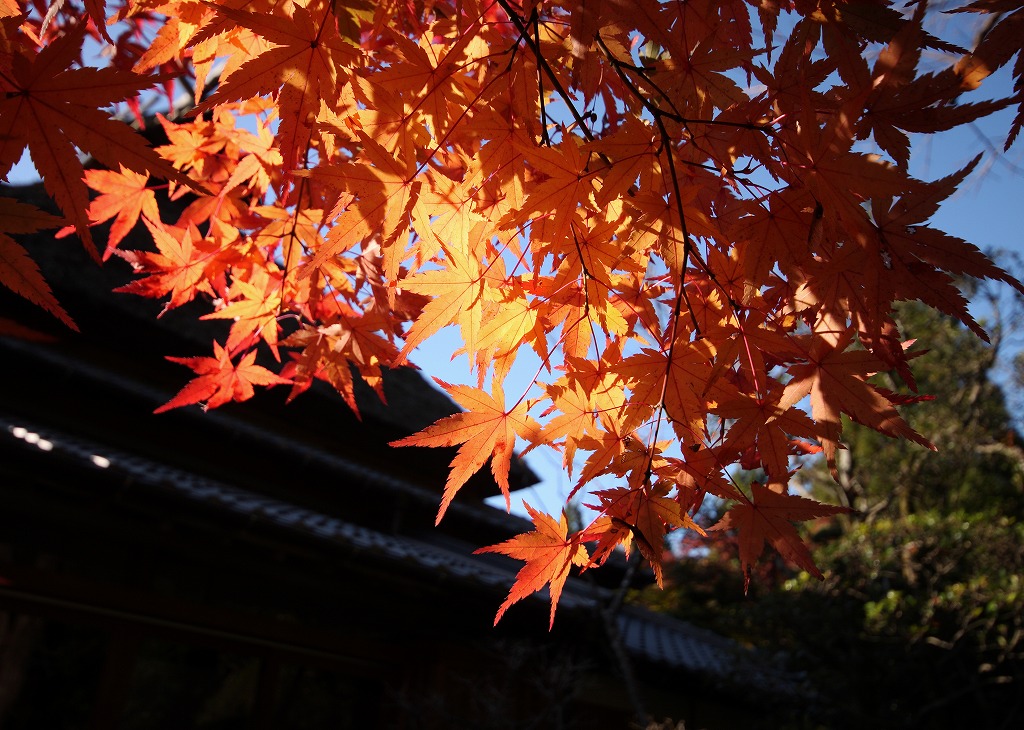 大宰府天満宮 延寿王院　汲古庵茶室